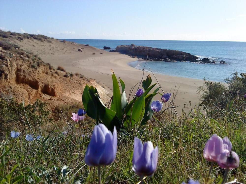 Káto Zákros Alkioni Sea View Apartment מראה חיצוני תמונה