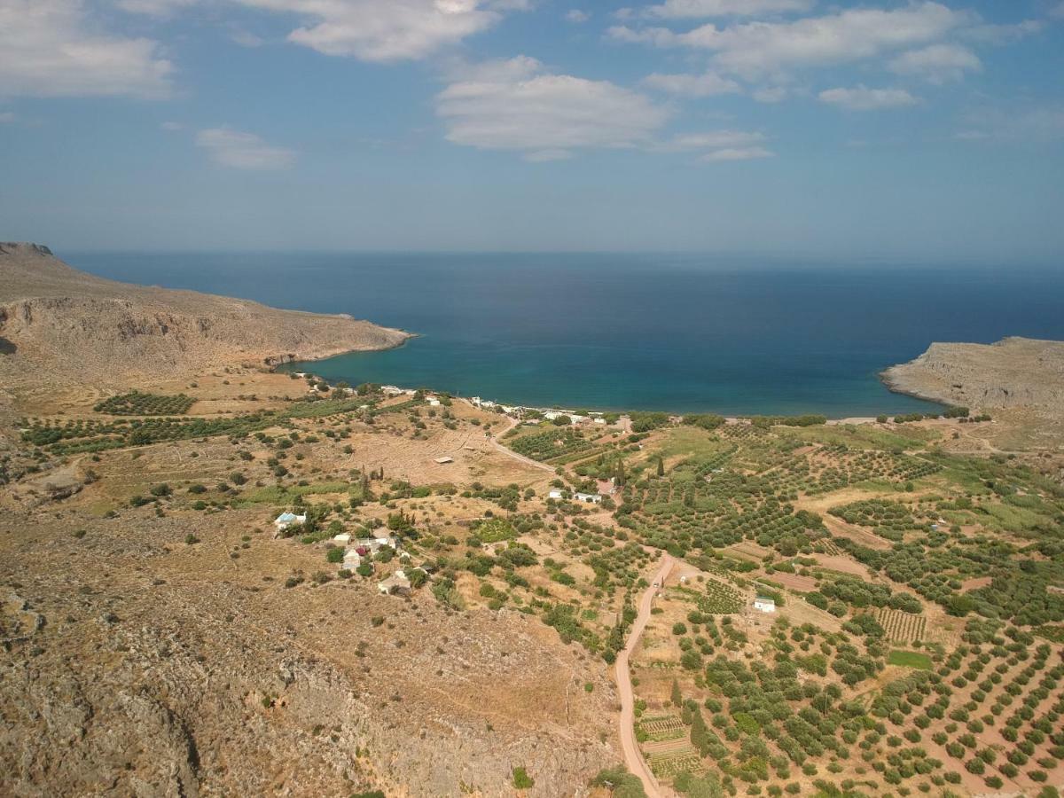 Káto Zákros Alkioni Sea View Apartment מראה חיצוני תמונה