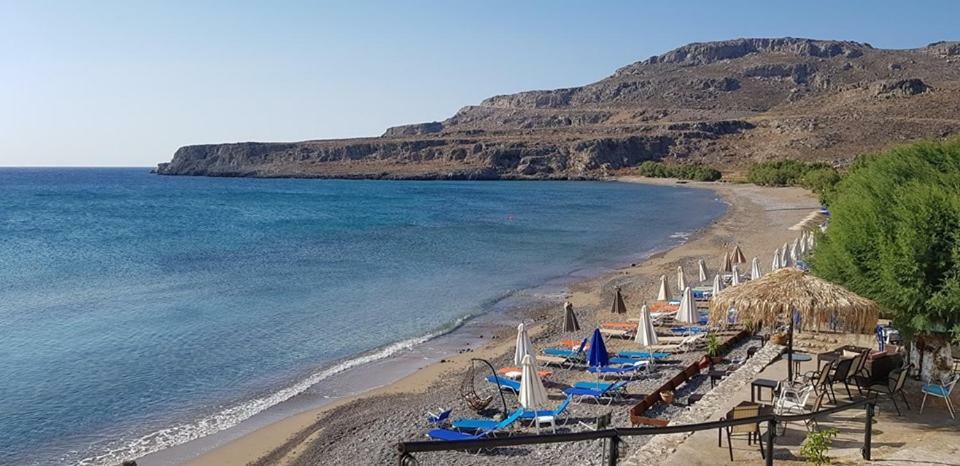 Káto Zákros Alkioni Sea View Apartment מראה חיצוני תמונה